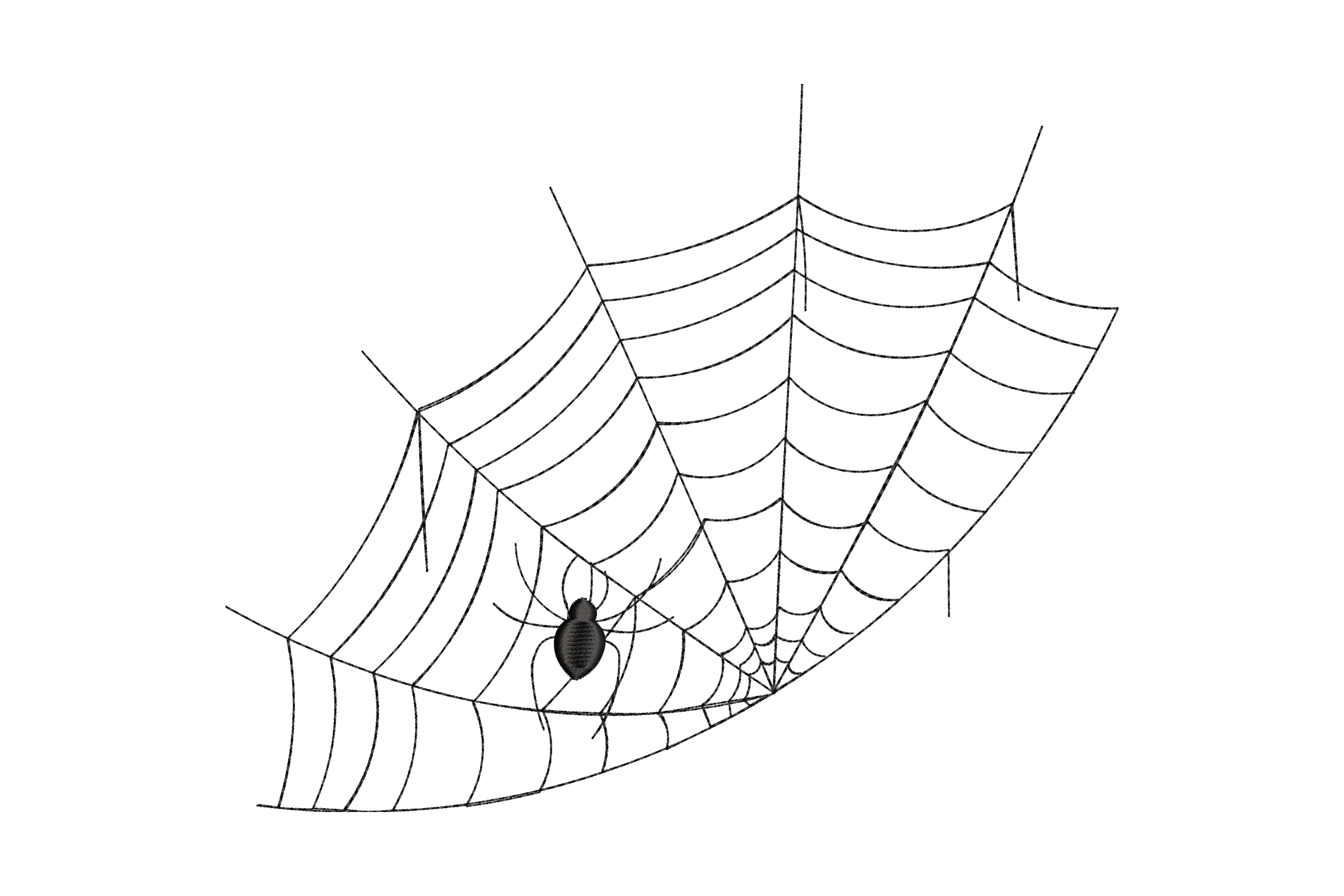 Spider with Web Embroidery Design