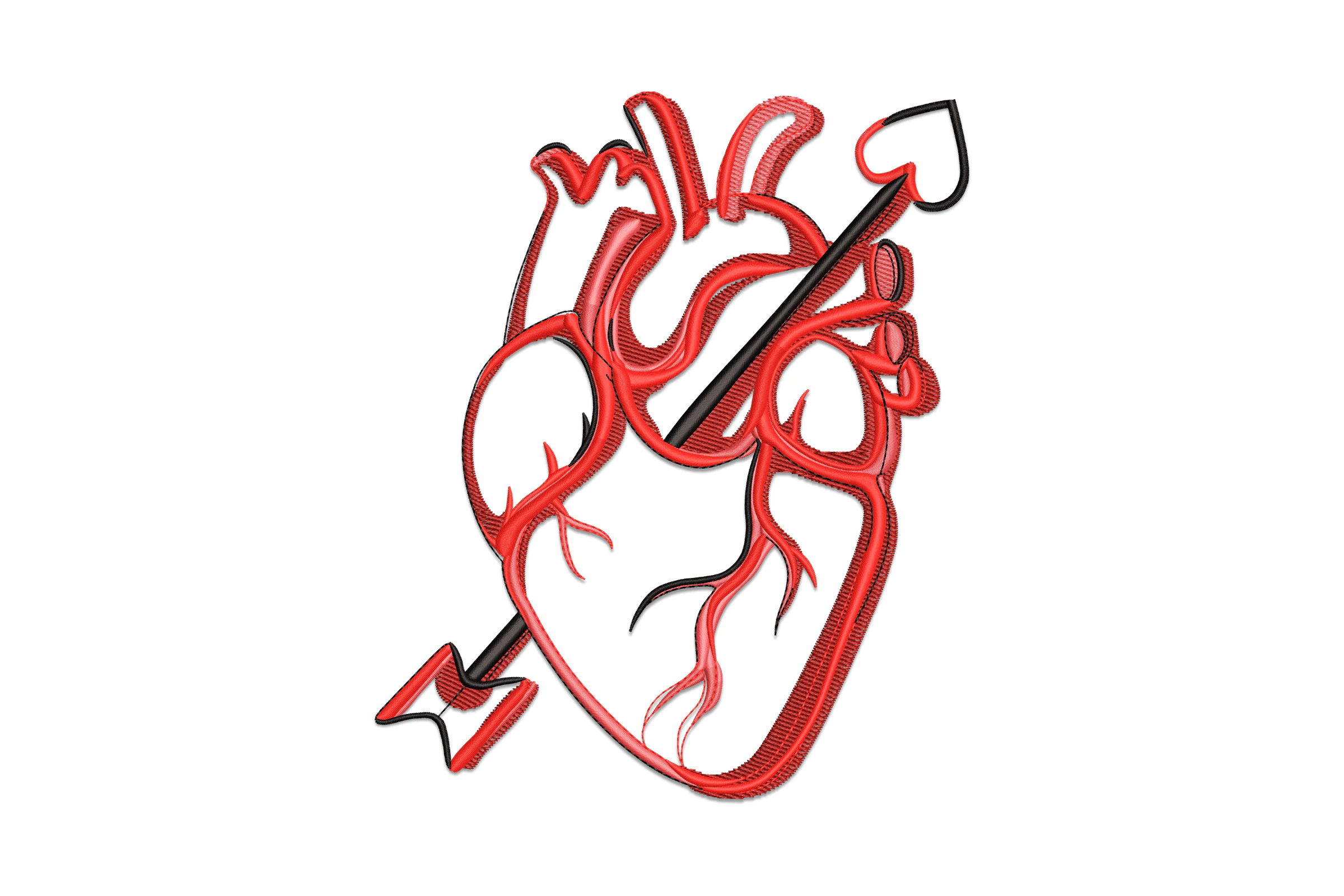 Anatomical Heart Embroidery Design Pattern