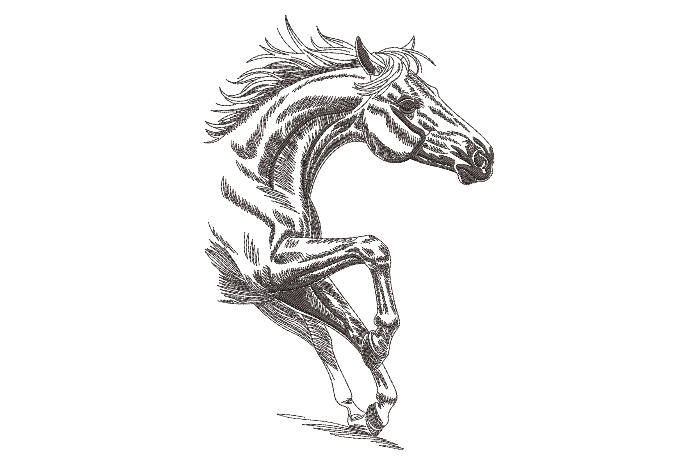Elegant Running Horse Embroidery Design