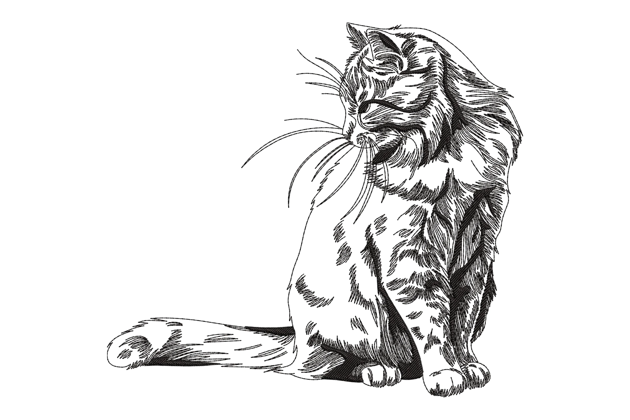 Long Haired Cat Embroidery Design