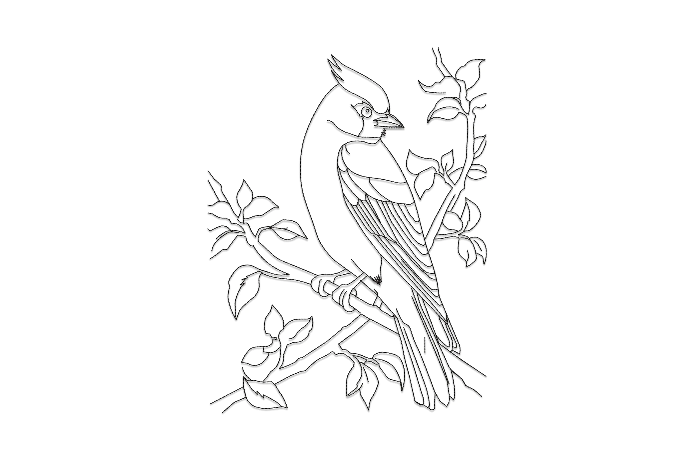 Bird on Branch Embroidery Design