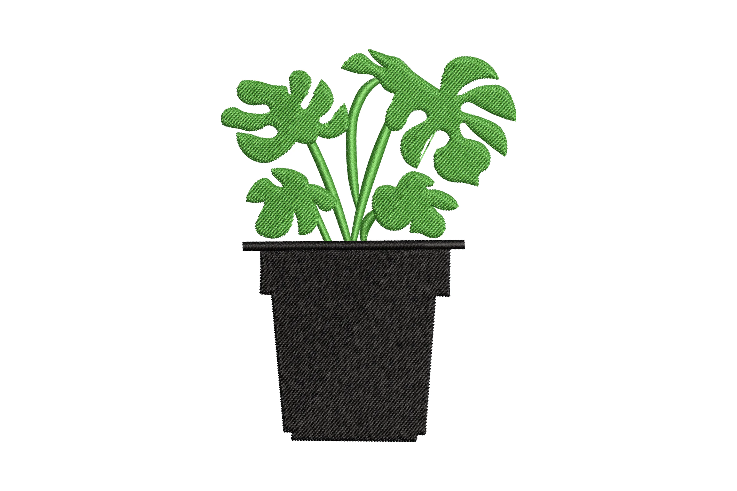 Monstera Embroidery Design