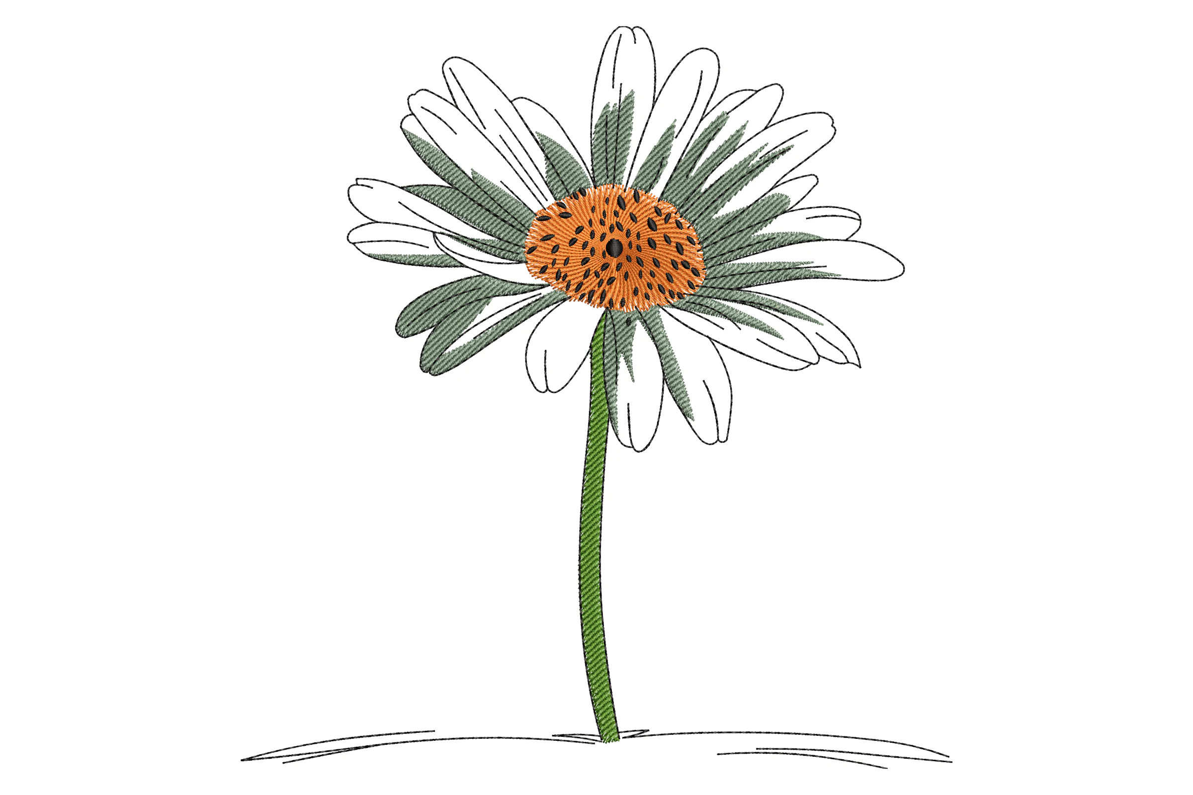 Daisy Flower Embroidery Design File