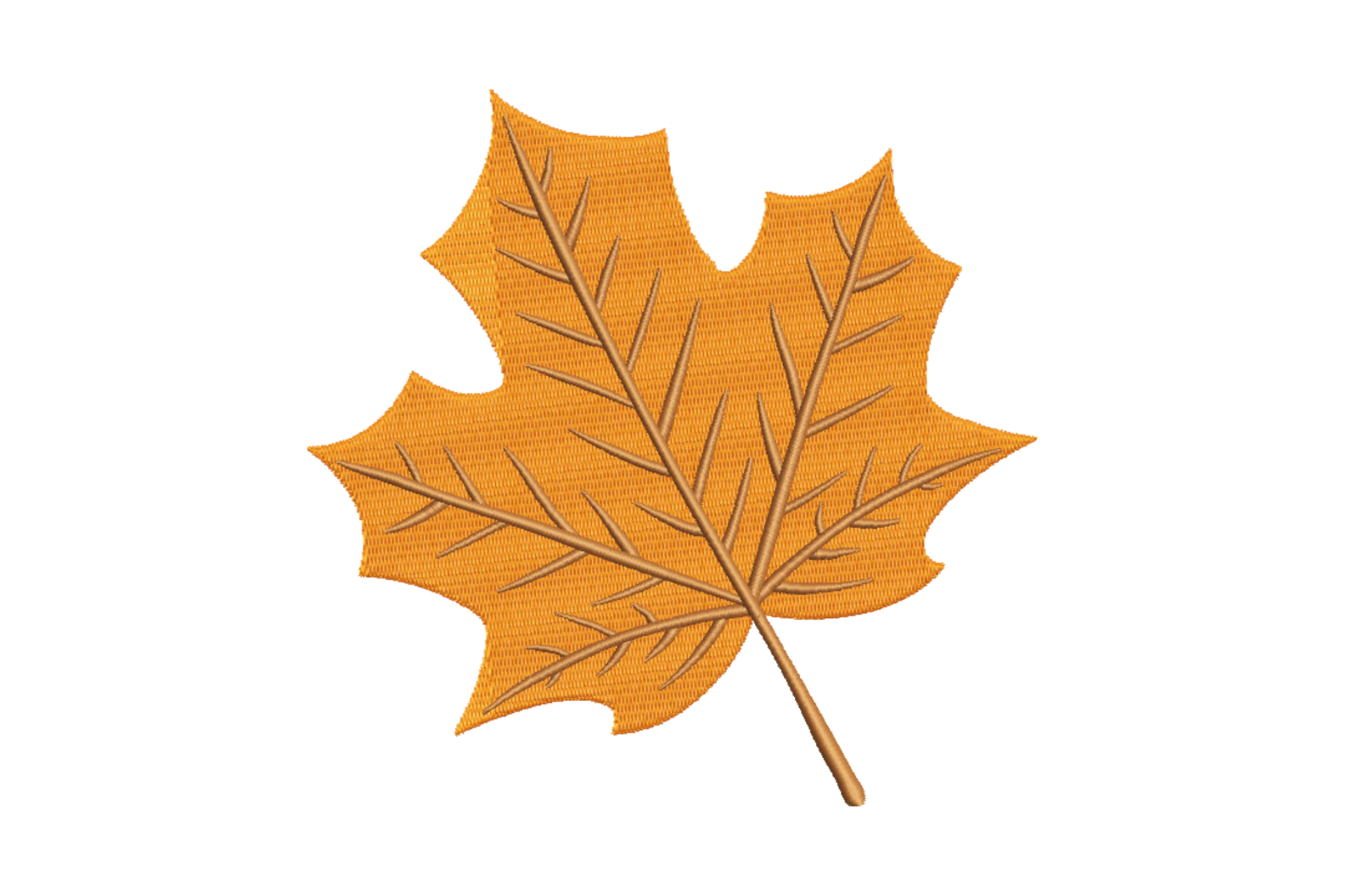 Detailed Autumn Maple Leaf Embroidery Design