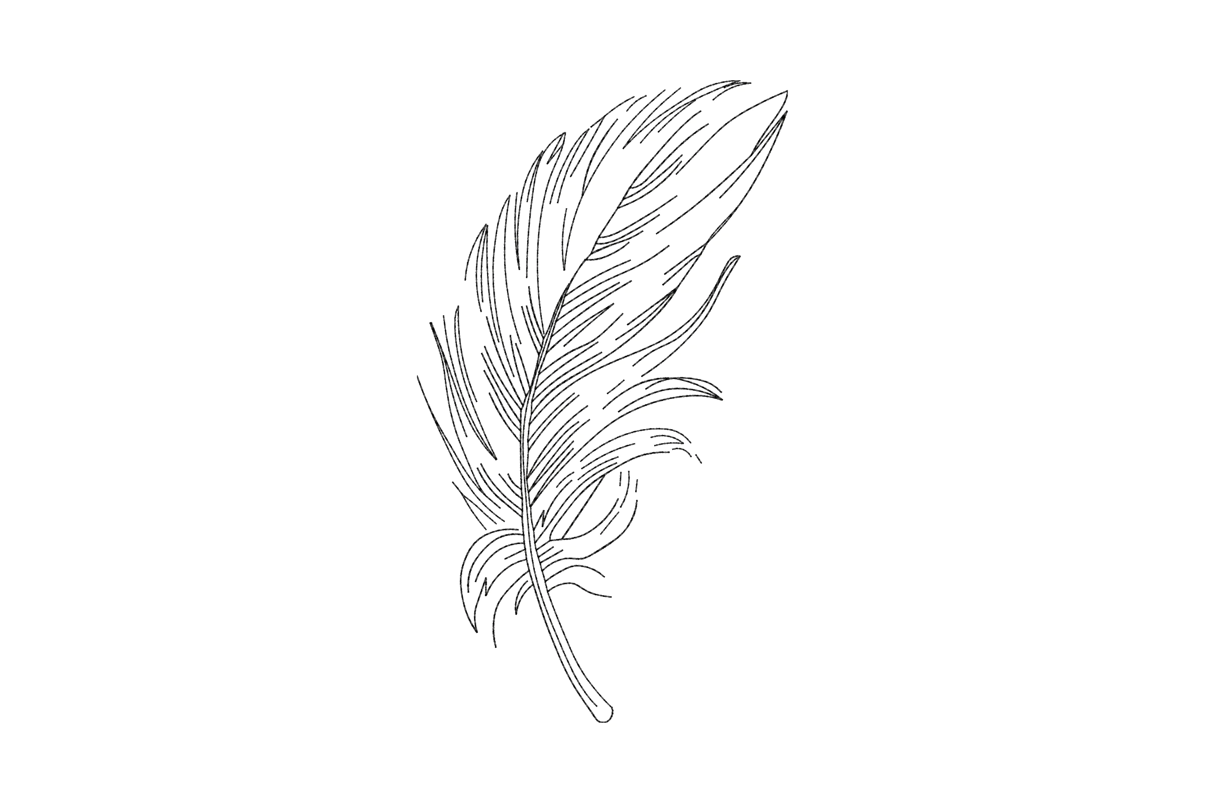 Bird Feather Embroidery Design
