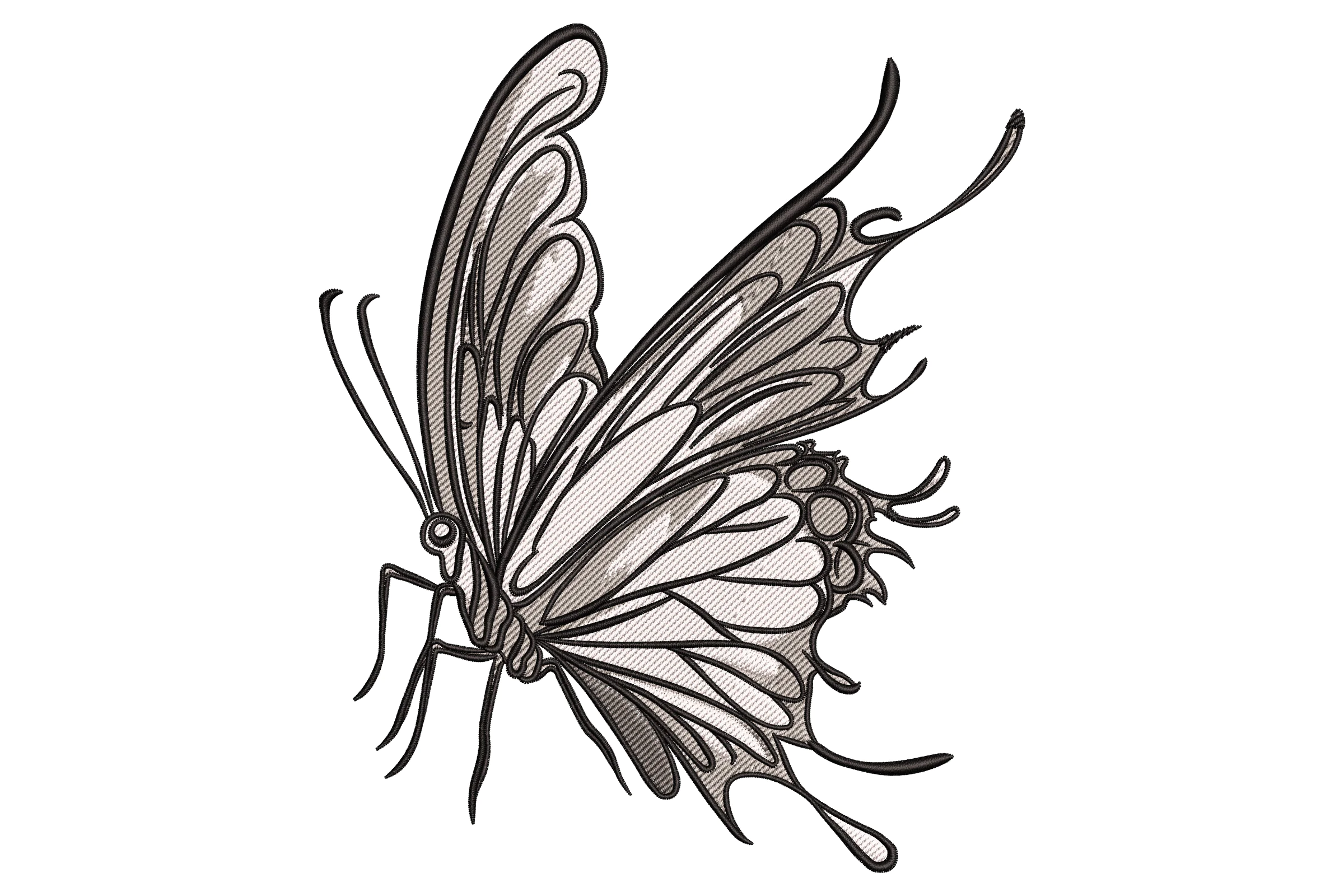 Butterfly Silhouette Embroidery Design
