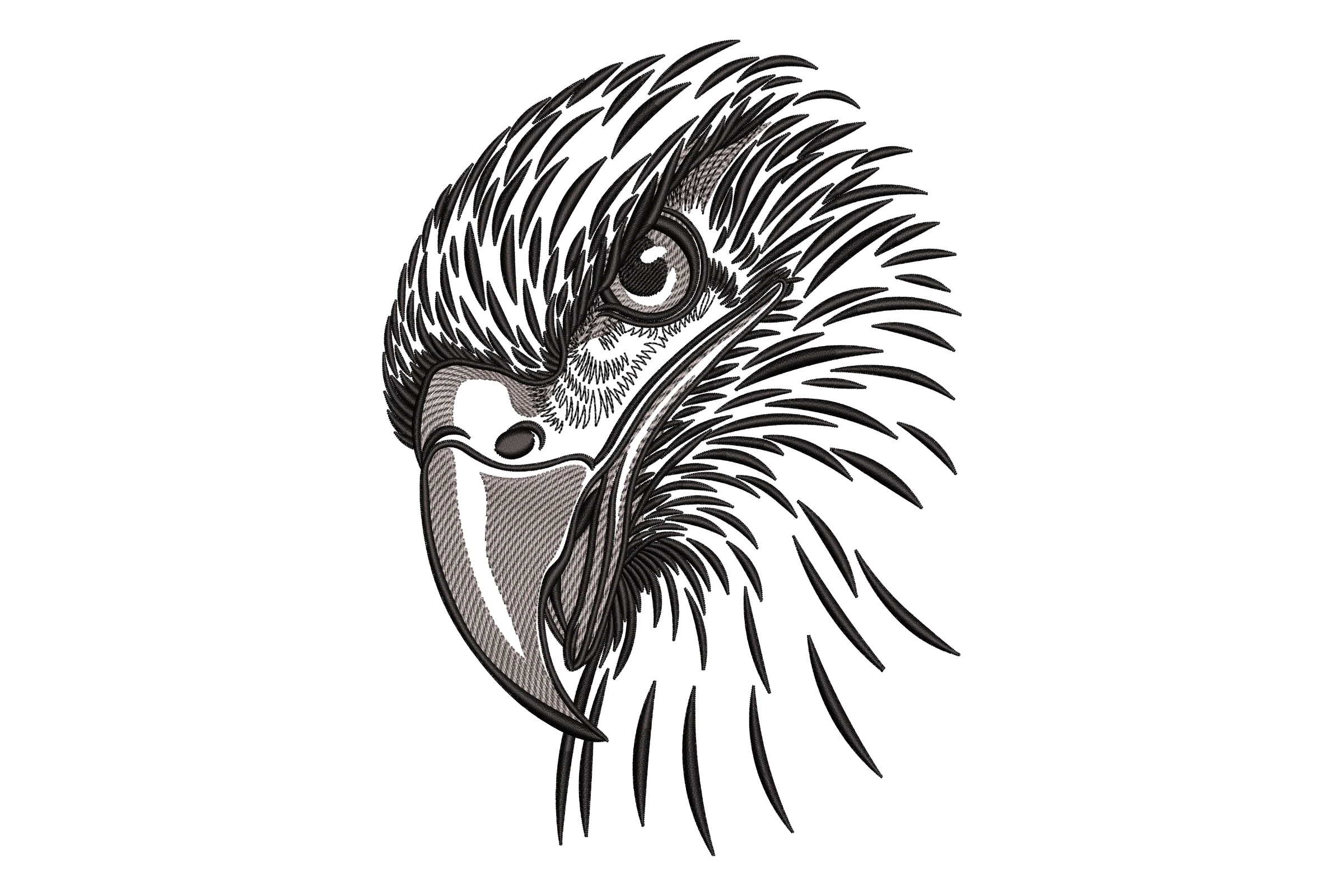 Majestic Eagle Head Embroidery Design