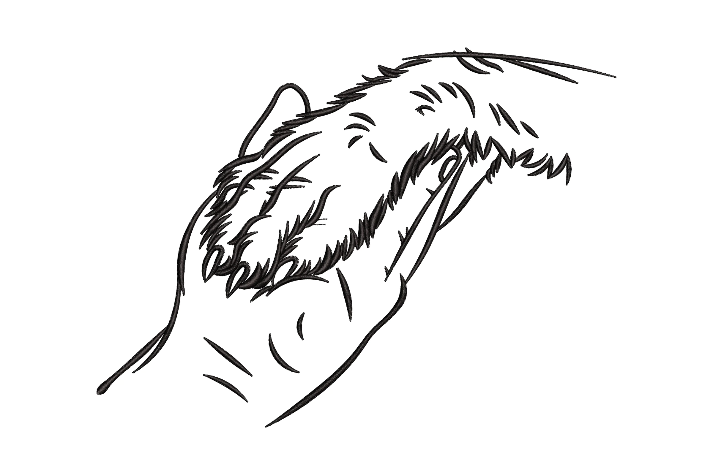 Human Hand and Dog's Paw Machine Embroidery Design