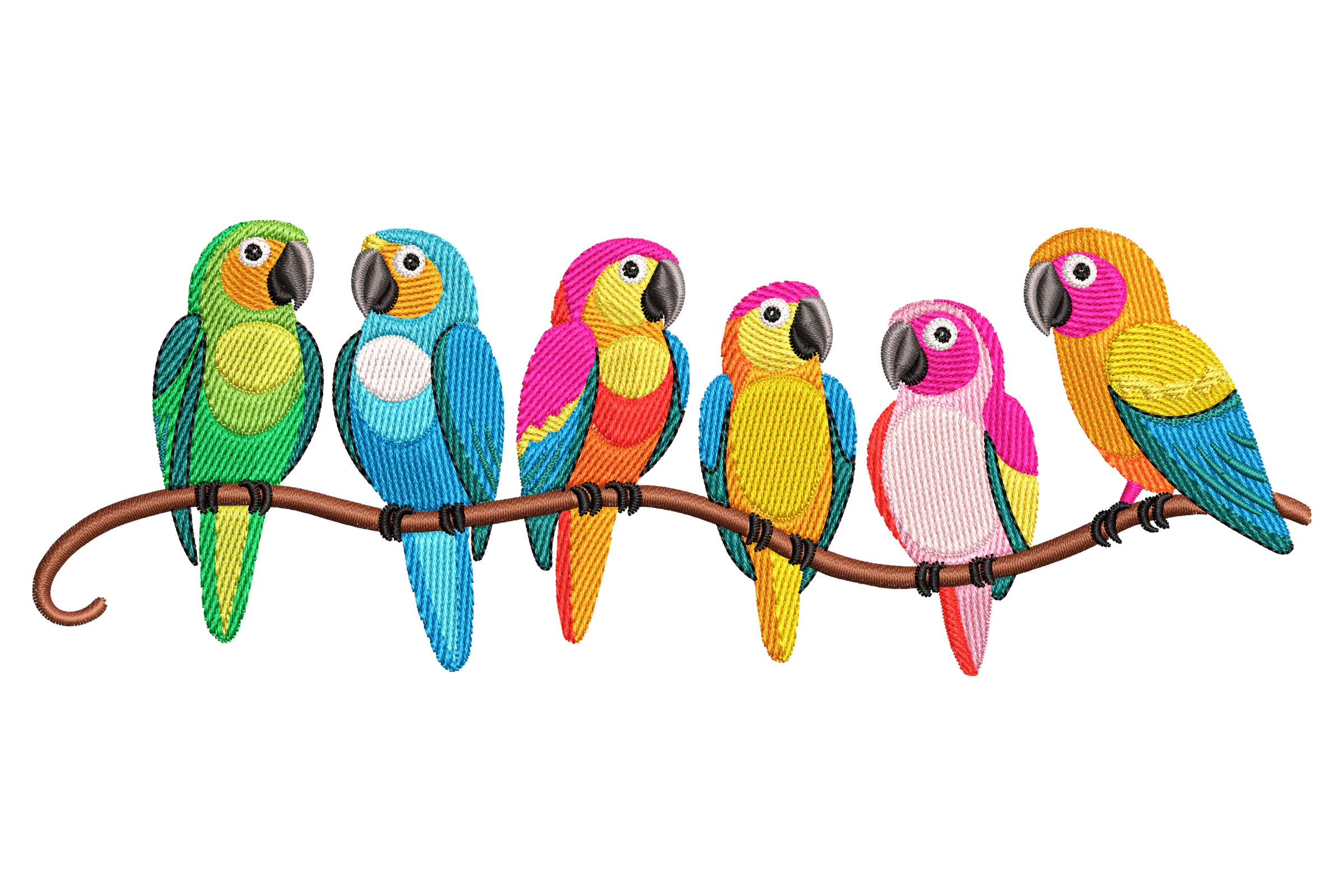 Colorful Parrots on a Branch Embroidery Design
