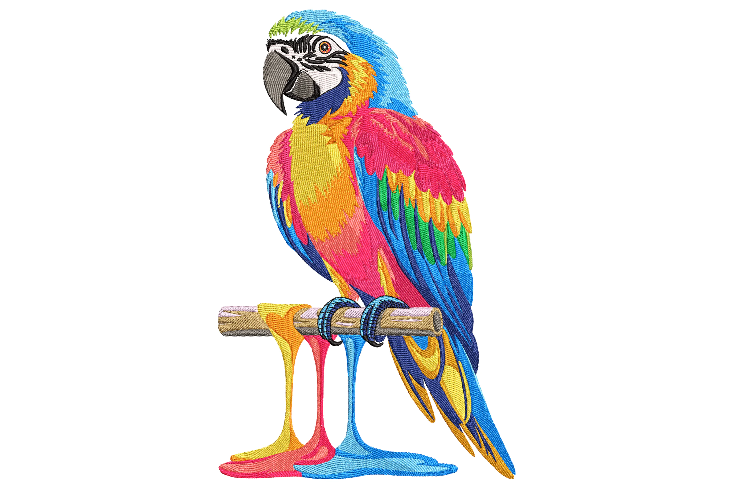 Vibrant Macaw Embroidery Design